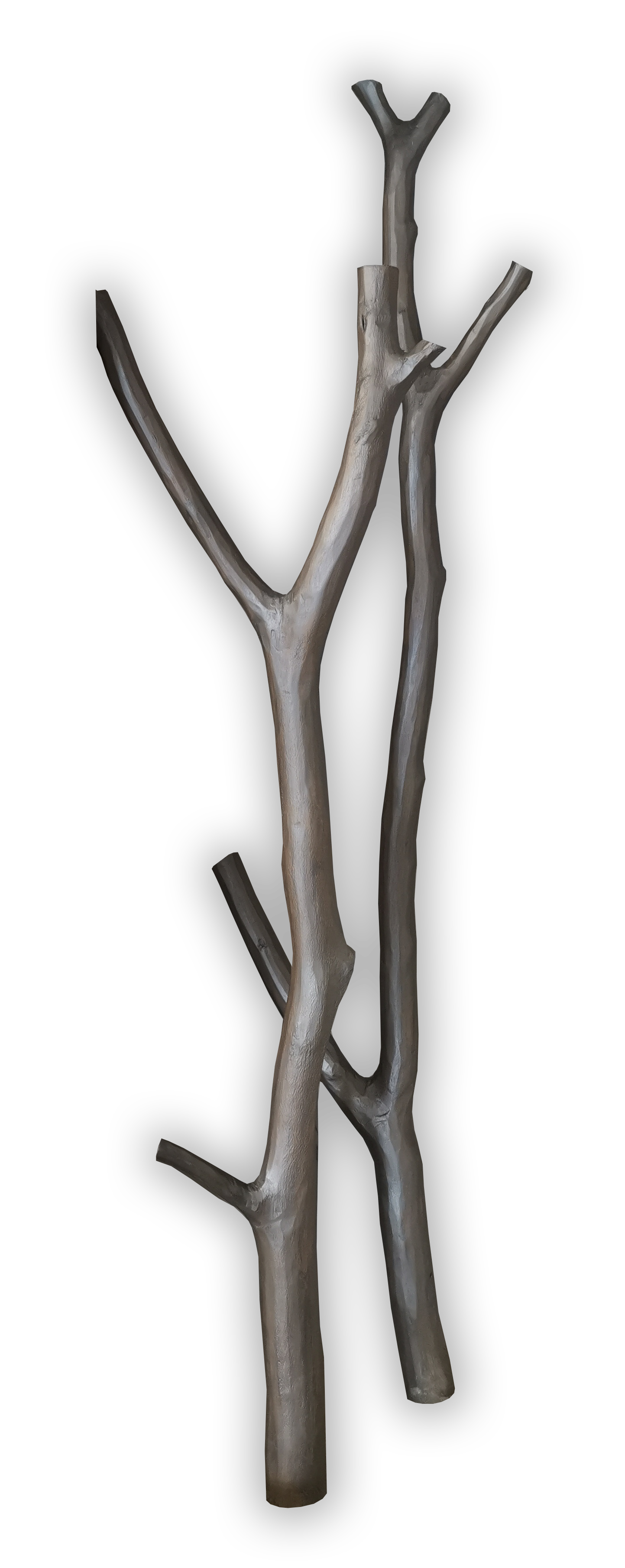 Holz